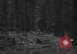 Standbild USA Infanteristen Deutschland, 1944, aus Sekunde 38 historischem Filmmaterial Videoclip 65675075053
