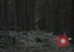Standbild USA Infanteristen Deutschland, 1944, aus Sekunde 39 historischem Filmmaterial Videoclip 65675075053
