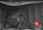 Standbild USA Infanteristen Deutschland, 1944, aus Sekunde 58 historischem Filmmaterial Videoclip 65675075055