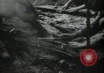 Image of United States soldiers Germany, 1944, second 16 stock footage video 65675075057