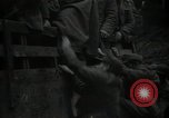 Immagine di Soldati statunitensi Germania, 1944, secondo 17 filmato di repertorio 65675075058