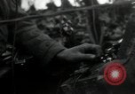 Image Troupes de transmissions Gressenich Allemagne, 1944, de la seconde 15 séquences d'archives historiques vidéo 65675075061