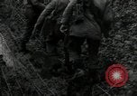 Image Troupes de transmissions Gressenich Allemagne, 1944, de la seconde 45 séquences d'archives historiques vidéo 65675075061