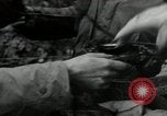 Image of 9th Division soldiers Gressenich Germany, 1944, second 39 stock footage video 65675075064