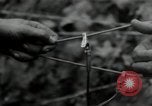 Image of 9th Division soldiers Gressenich Germany, 1944, second 50 stock footage video 65675075064