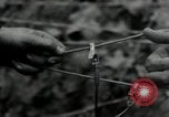 Image of 9th Division soldiers Gressenich Germany, 1944, second 52 stock footage video 65675075064
