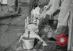 Image of sailors Bikini Atoll Marshall Islands, 1946, second 19 stock footage video 65675075079