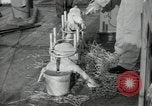 Image of sailors Bikini Atoll Marshall Islands, 1946, second 22 stock footage video 65675075079