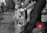 Image of sailors Bikini Atoll Marshall Islands, 1946, second 25 stock footage video 65675075079