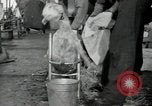 Image of sailors Bikini Atoll Marshall Islands, 1946, second 27 stock footage video 65675075079