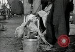 Image of sailors Bikini Atoll Marshall Islands, 1946, second 28 stock footage video 65675075079