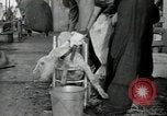 Image of sailors Bikini Atoll Marshall Islands, 1946, second 29 stock footage video 65675075079