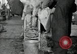 Image of sailors Bikini Atoll Marshall Islands, 1946, second 32 stock footage video 65675075079