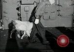 Image of sailors Bikini Atoll Marshall Islands, 1946, second 39 stock footage video 65675075079