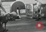 Image of sailors Bikini Atoll Marshall Islands, 1946, second 43 stock footage video 65675075079