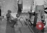 Image of sailors Bikini Atoll Marshall Islands, 1946, second 48 stock footage video 65675075079