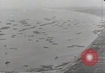 Image of Allied ships with reinforcements and supplies Normandy France, 1944, second 5 stock footage video 65675075096