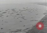 Image of Allied ships with reinforcements and supplies Normandy France, 1944, second 7 stock footage video 65675075096