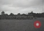 Image of United States troops advancing in Normandy Normandy France, 1944, second 11 stock footage video 65675075097