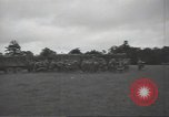 Image of United States troops advancing in Normandy Normandy France, 1944, second 14 stock footage video 65675075097