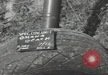Image of Allied ships Normandy France, 1944, second 4 stock footage video 65675075098