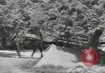 Image les troupes des États-Unis Normandie France, 1944, de la seconde 25 séquences d'archives historiques vidéo 65675075103