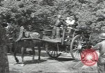 Image les troupes des États-Unis Normandie France, 1944, de la seconde 29 séquences d'archives historiques vidéo 65675075103