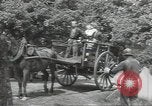 Image les troupes des États-Unis Normandie France, 1944, de la seconde 30 séquences d'archives historiques vidéo 65675075103