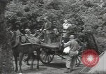 Image les troupes des États-Unis Normandie France, 1944, de la seconde 34 séquences d'archives historiques vidéo 65675075103