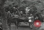 Image les troupes des États-Unis Normandie France, 1944, de la seconde 43 séquences d'archives historiques vidéo 65675075103