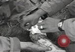 Image soldats des États-Unis Marigny France, 1944, de la seconde 51 séquences d'archives historiques vidéo 65675075104