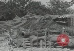 Image États-Unis obusier Cerisy-la-Forêt Normandie France, 1944, de la seconde 7 séquences d'archives historiques vidéo 65675075108