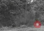 Image États-Unis obusier Cerisy-la-Forêt Normandie France, 1944, de la seconde 44 séquences d'archives historiques vidéo 65675075108