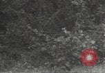 Image États-Unis obusier Cerisy-la-Forêt Normandie France, 1944, de la seconde 54 séquences d'archives historiques vidéo 65675075108