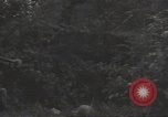 Image of United States soldiers Marigny France, 1944, second 24 stock footage video 65675075111
