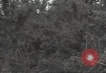 Image of United States soldiers Marigny France, 1944, second 30 stock footage video 65675075113