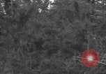Image of United States soldiers Marigny France, 1944, second 31 stock footage video 65675075113
