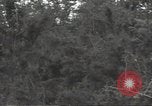 Image of United States soldiers Marigny France, 1944, second 33 stock footage video 65675075113