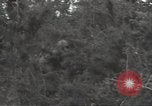 Image of United States soldiers Marigny France, 1944, second 35 stock footage video 65675075113