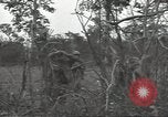Image of United States soldiers Marigny France, 1944, second 39 stock footage video 65675075113