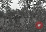 Image of United States soldiers Marigny France, 1944, second 40 stock footage video 65675075113