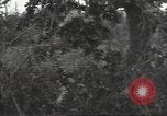 Image of United States soldiers Marigny France, 1944, second 49 stock footage video 65675075113