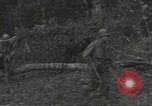 Image of cutting through hedgerows with tanks Marigny France, 1944, second 10 stock footage video 65675075114