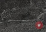 Image of cutting through hedgerows with tanks Marigny France, 1944, second 11 stock footage video 65675075114