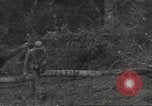 Image of cutting through hedgerows with tanks Marigny France, 1944, second 12 stock footage video 65675075114