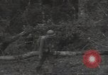 Image of cutting through hedgerows with tanks Marigny France, 1944, second 13 stock footage video 65675075114