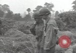 Image of United States soldiers Marigny France, 1944, second 36 stock footage video 65675075115