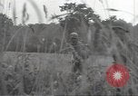 Image of United States soldiers Marigny France, 1944, second 55 stock footage video 65675075115