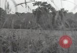Image of United States soldiers Marigny France, 1944, second 57 stock footage video 65675075115