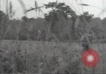 Image of United States soldiers Marigny France, 1944, second 58 stock footage video 65675075115